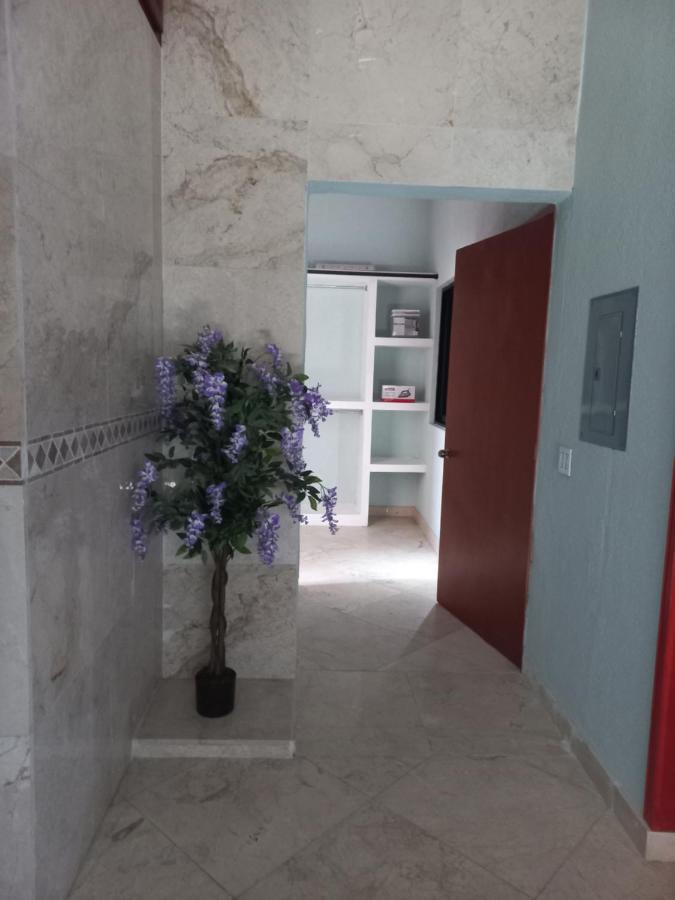 San José del CaboDepartamento Tayde公寓 外观 照片